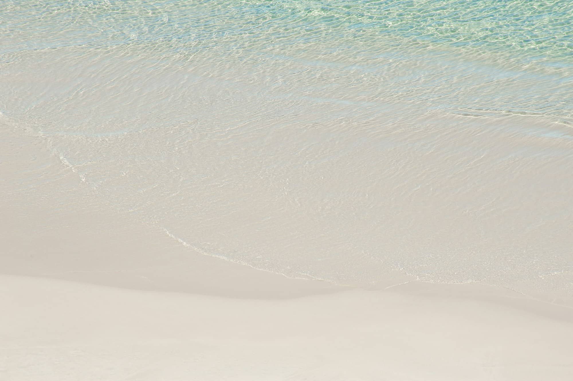 a couple of people walking along a beach next to the ocean