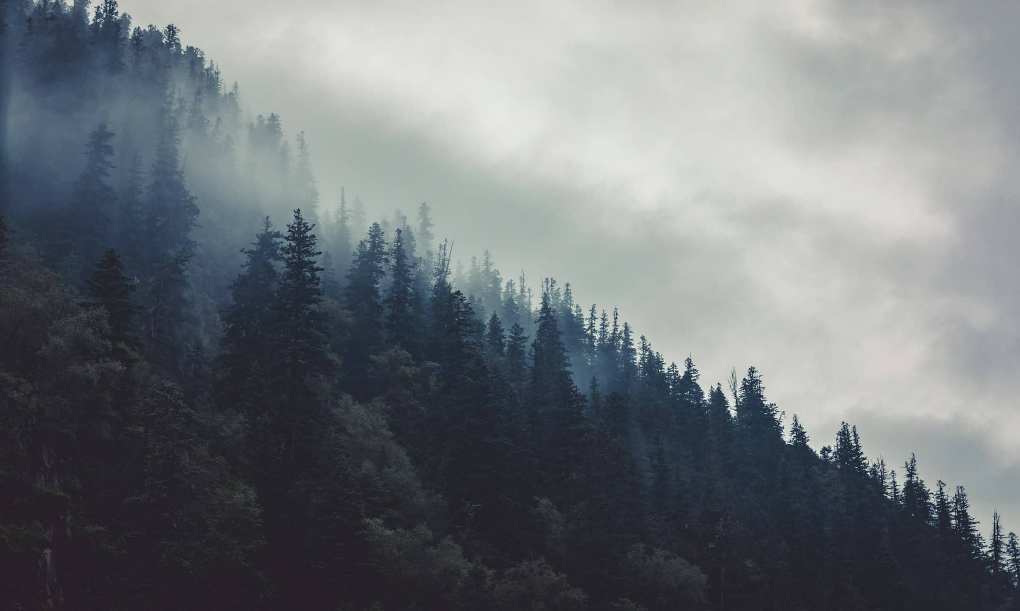 Foggy mountains and forest shrouded in mist.