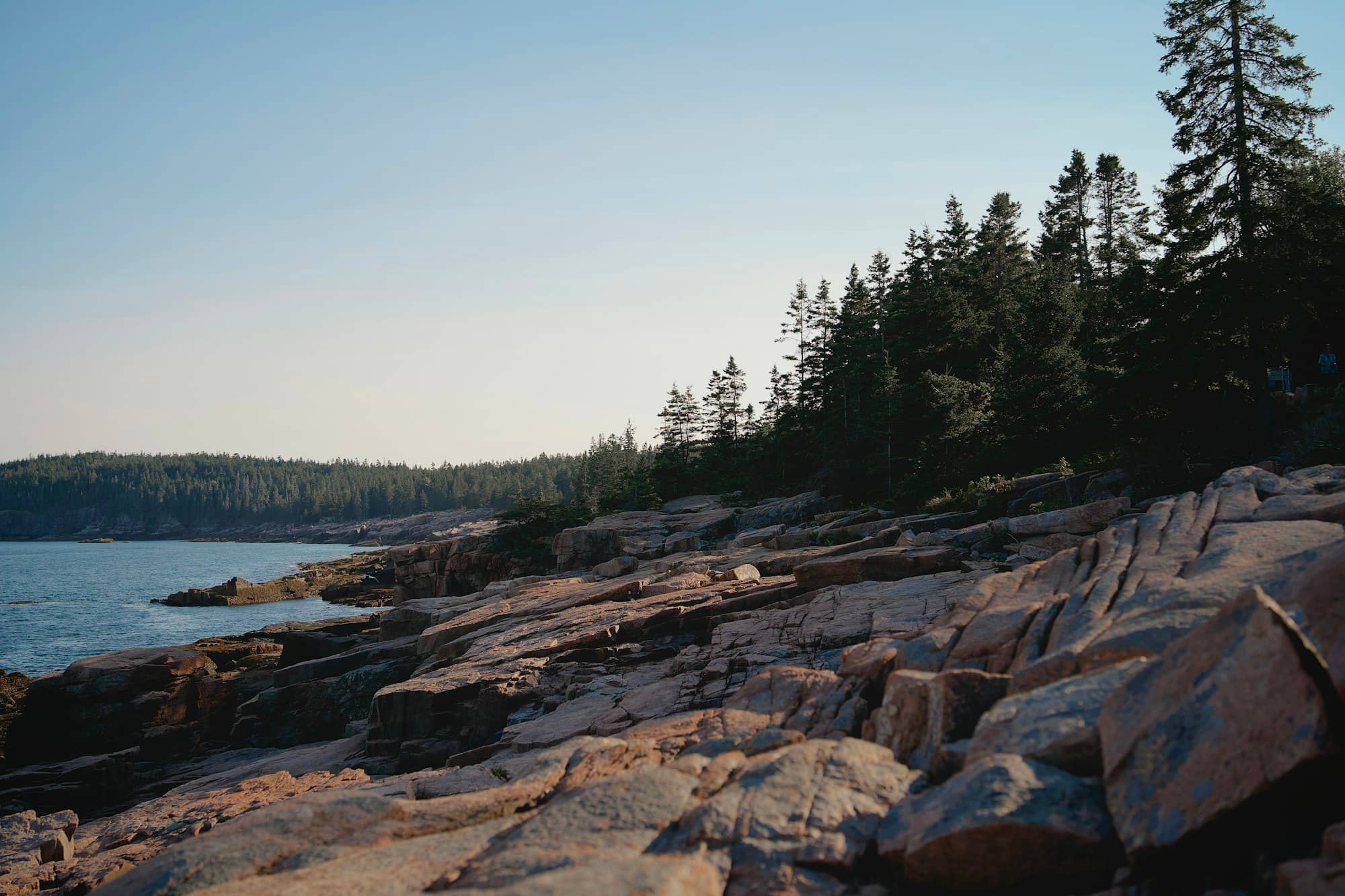 Rocky coastline with evergreen trees and calm ocean.