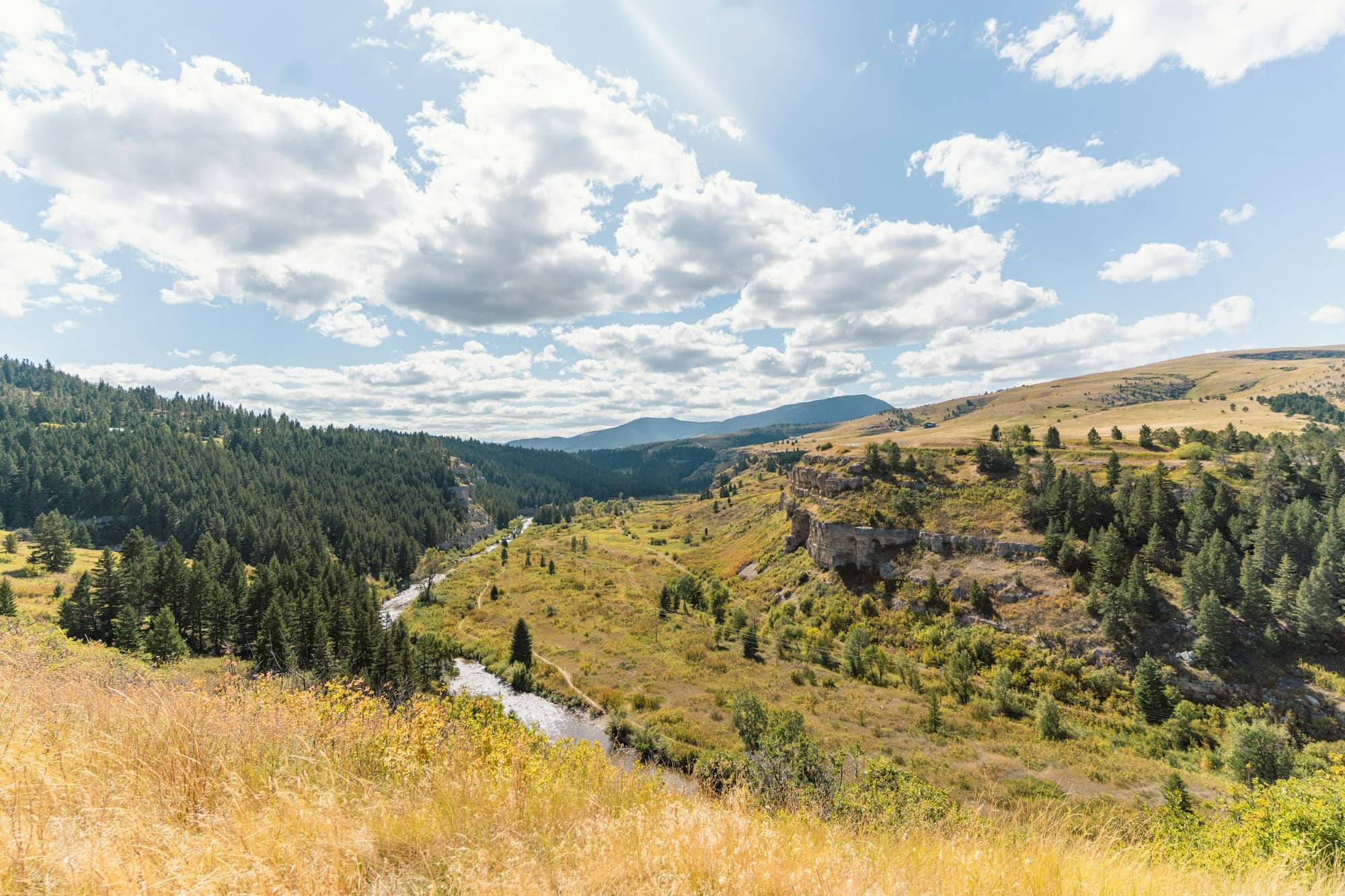 a scenic view of a valley with a river running through it