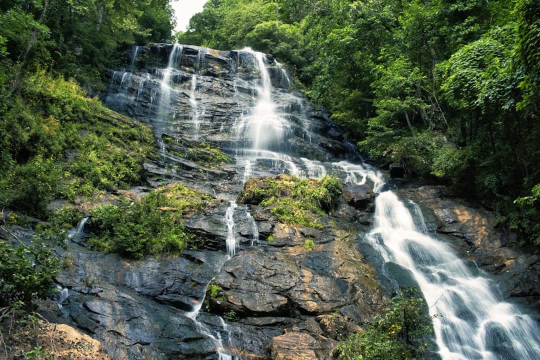 a waterfall in a forest