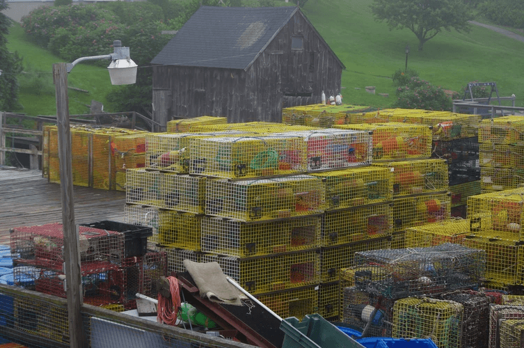 Shaw's Fish & Lobster Wharf
