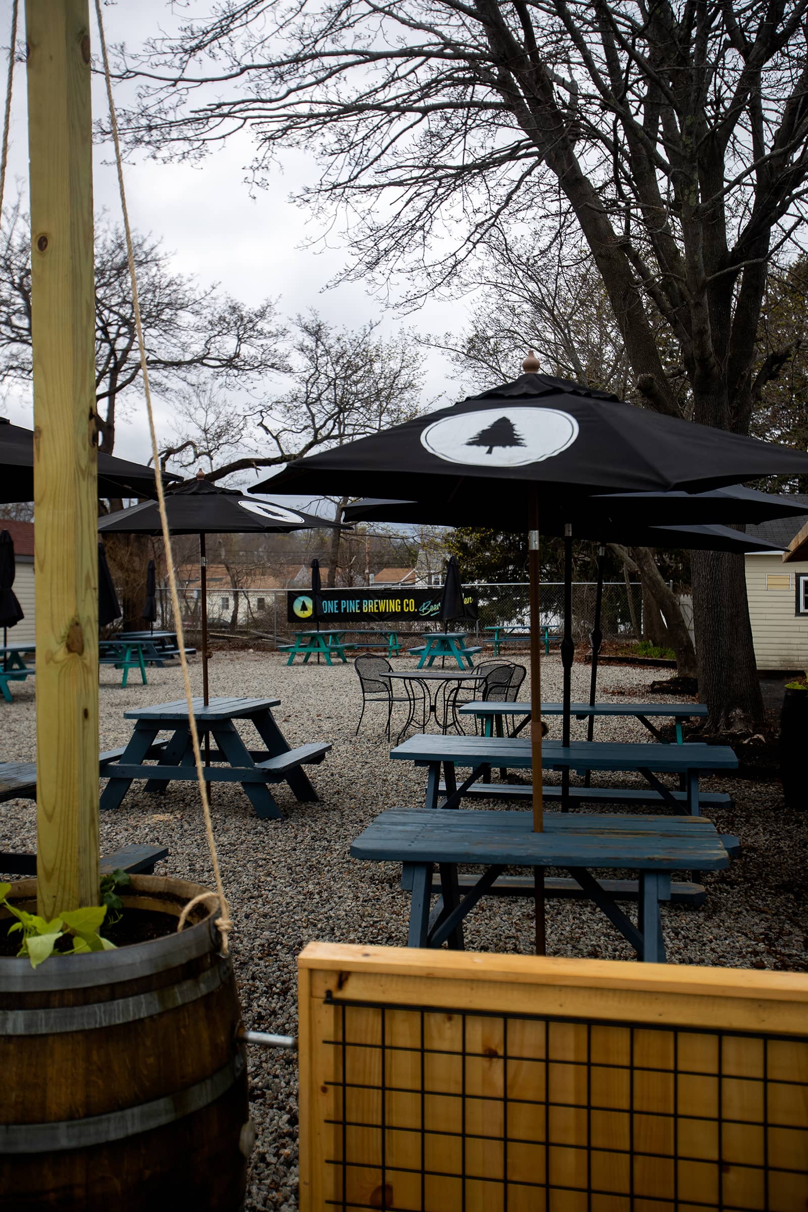 Lone Pine Brewing Company