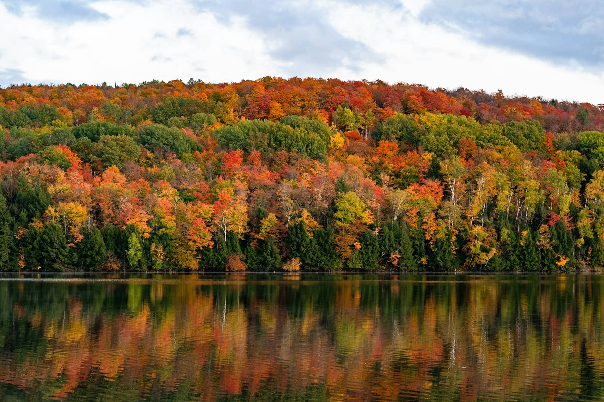 Autumn colour along a Maine lake shore, green and brown trees beside still water