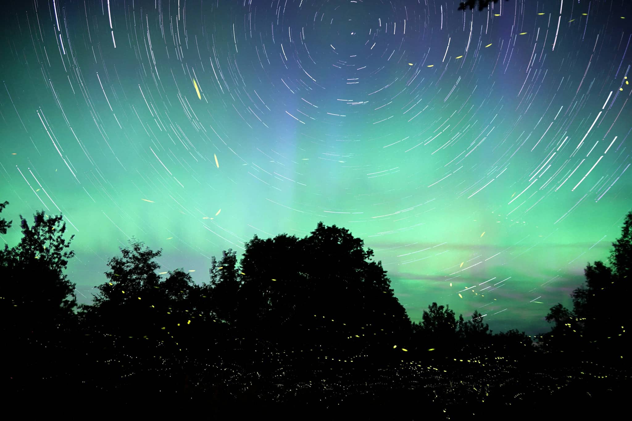 Green aurora and circling star trails over a black treeline, with fireflies in the field below