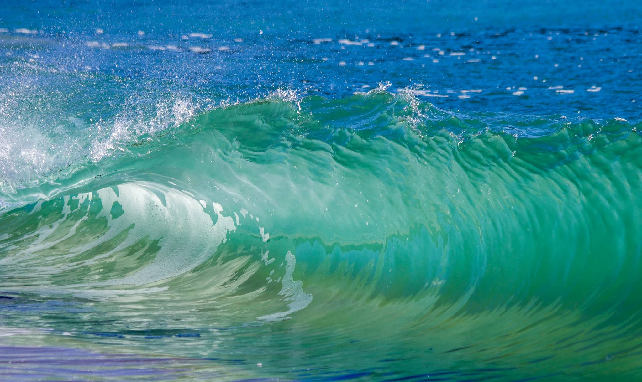 A wave curling over as it breaks, sunlight coming through the green-blue water from behind