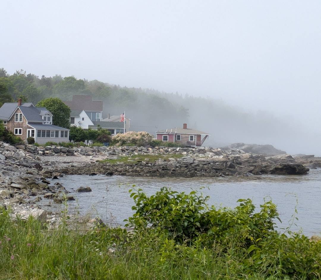 Coastal homes sit on a foggy shoreline.
