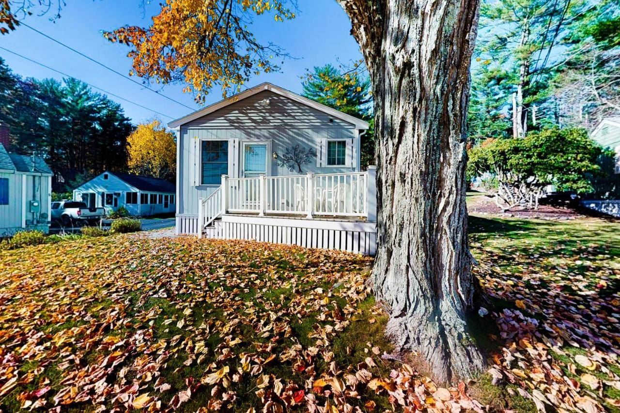a small house with a tree in the yard at Eastwind Elegance in Ogunquit