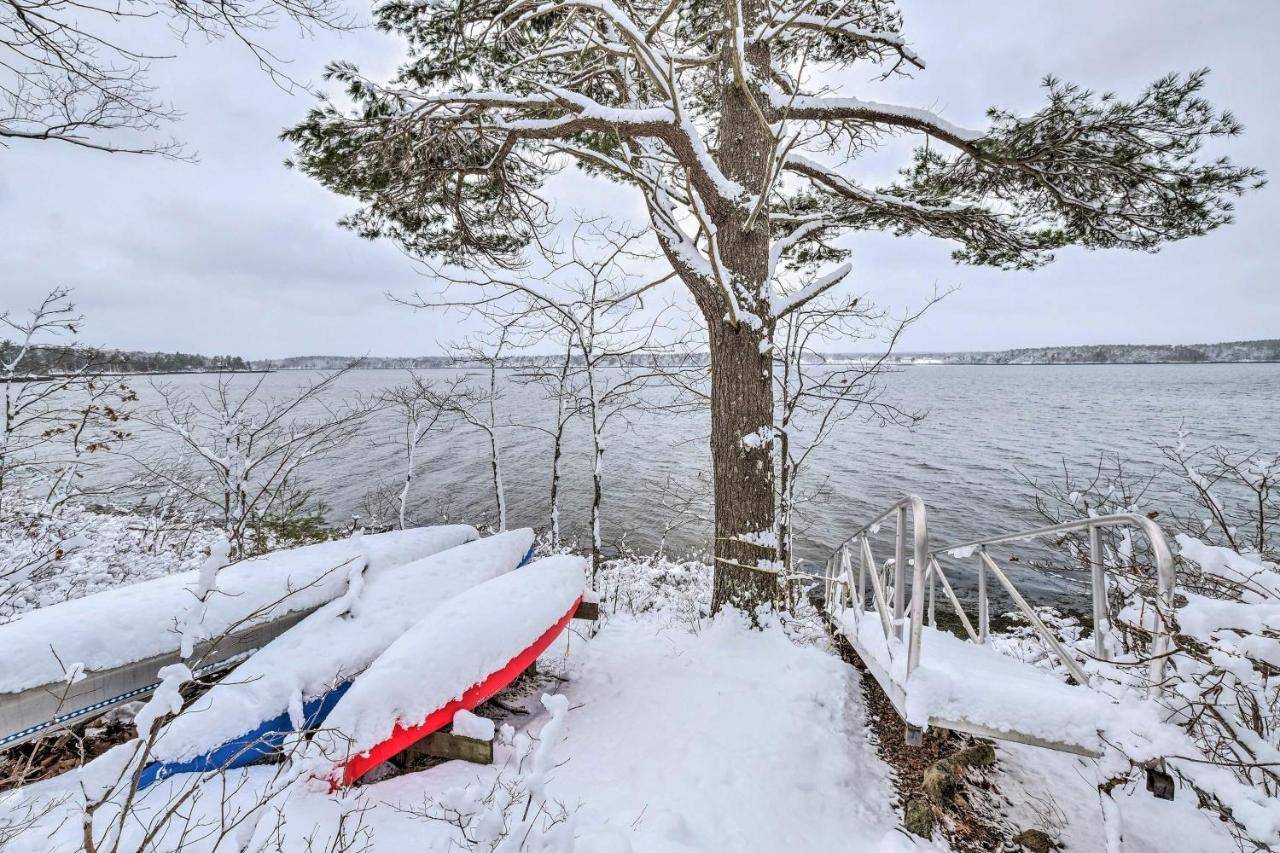 a row of snow covered surfboards sitting next to a tree at Cozy Waterfront Cottage on Montsweag Bay! in Westport