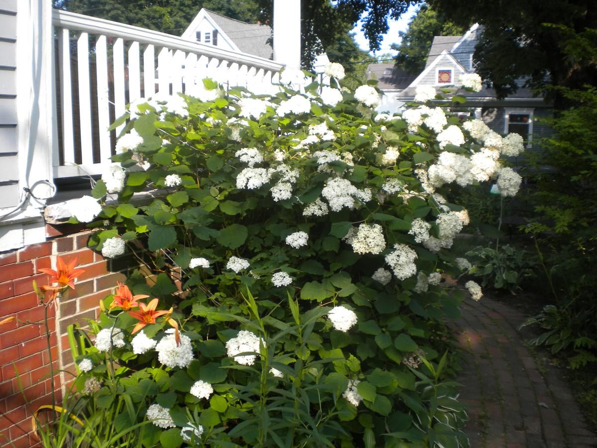 Fleetwood House Bed and Breakfast — Portland Hotels —